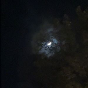 Meet your Posher, Noah